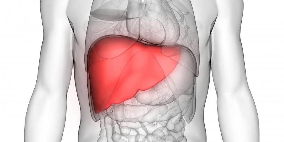 Cadaveric Liver Transplant